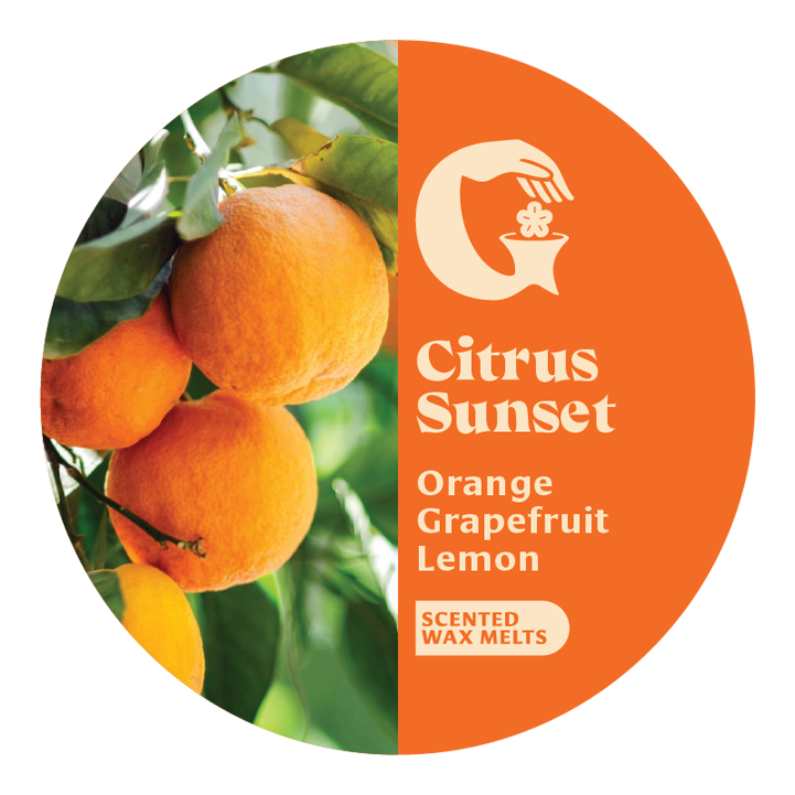 Citrus Sunset Wax Melts