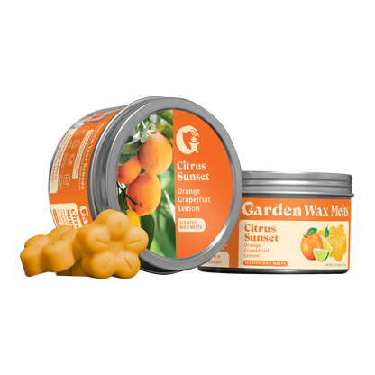 Citrus Sunset Wax Melts